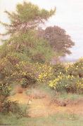 George Marks At the Edge of Shere Heath (mk46) oil